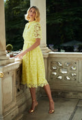 Fee G Regina Gupuire Lace Belted A Line Dress 869Y