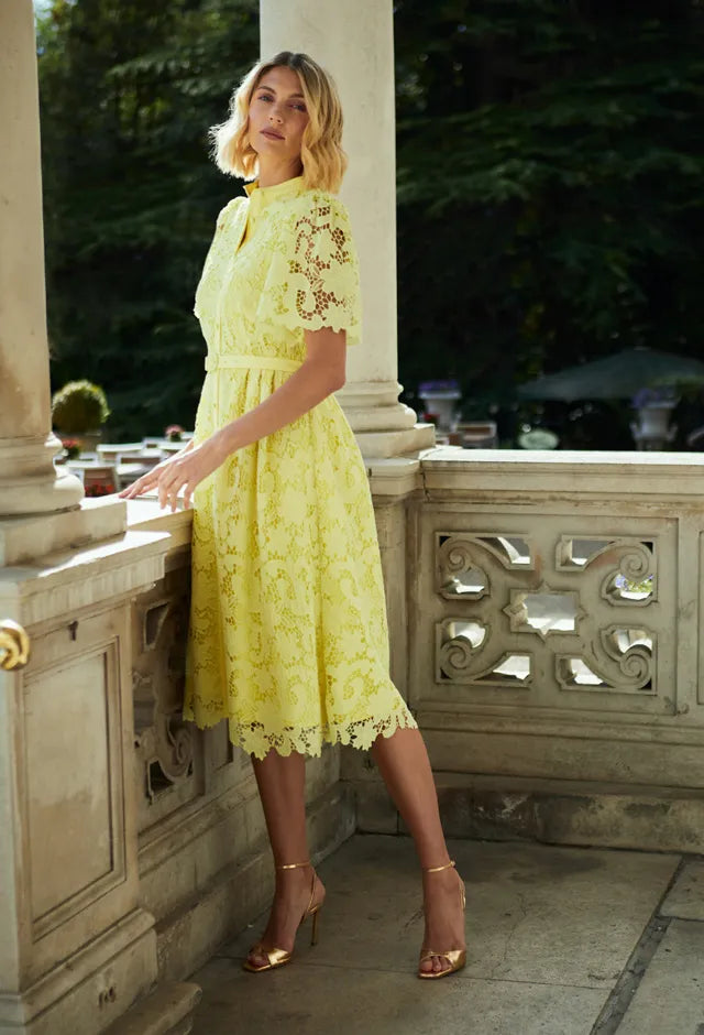 Fee G Regina Gupuire Lace Belted A Line Dress 869Y