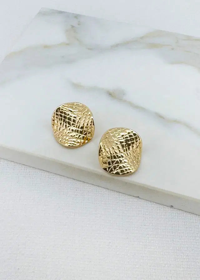 Envy 4931 Hammered Disc Stud Earrings
