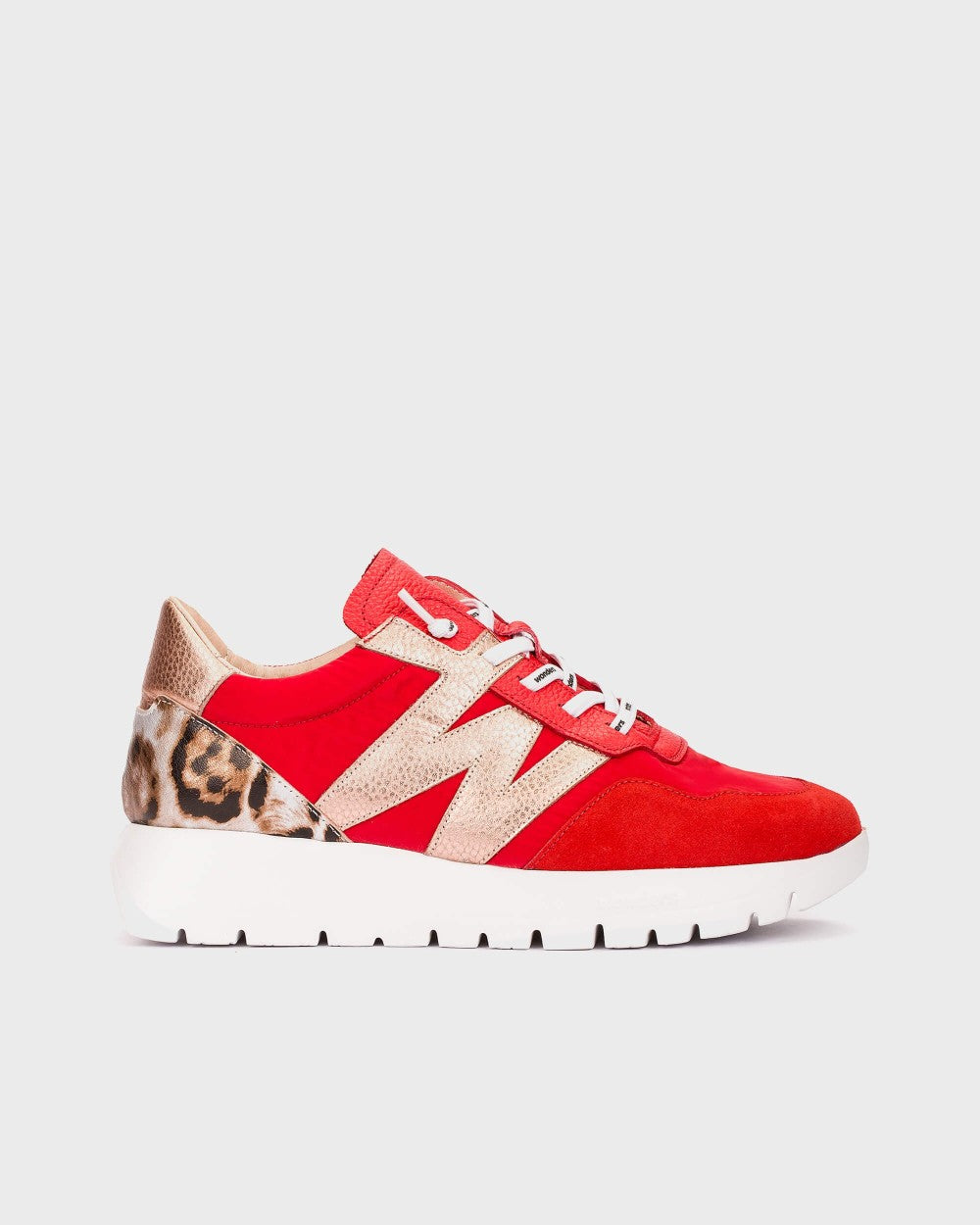 Wonders Odisei 00 Trainer With Animal Details A-24100
