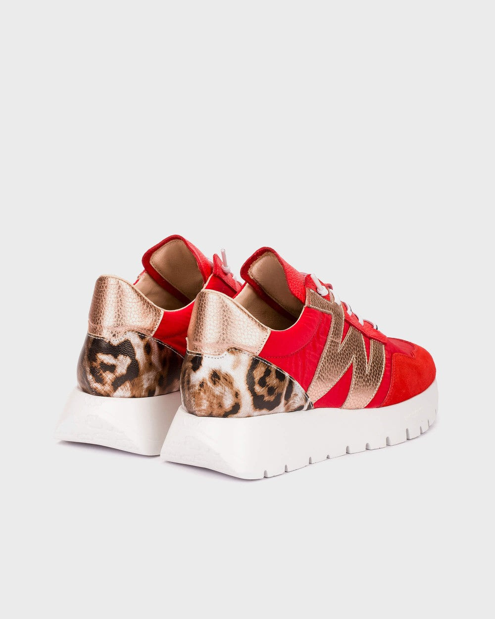 Wonders Odisei 00 Trainer With Animal Details A-24100