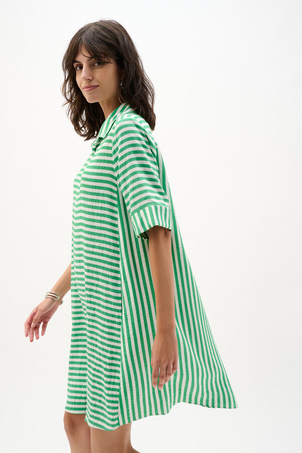 Joseph Ribkoff 262175 Green Dress With Short Sleeves And Collar