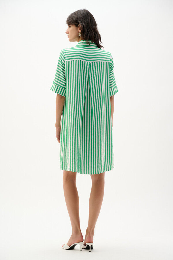 Joseph Ribkoff 262175 Green Dress With Short Sleeves And Collar